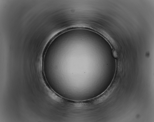 X0000101400988200807141152