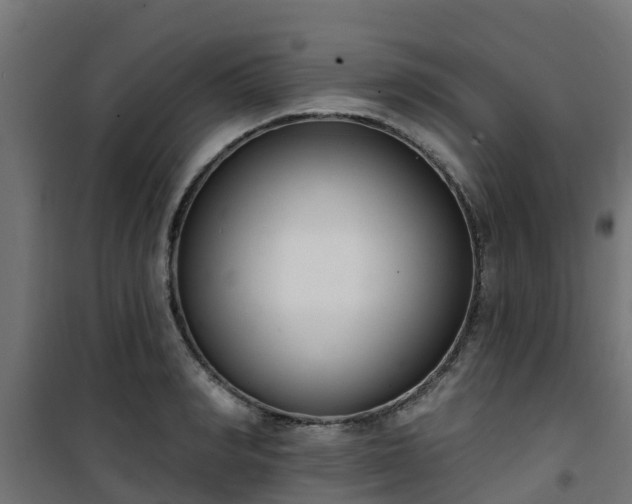 X0000101400990200807141152