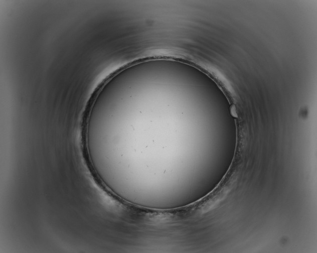 X0000101400991200807141152