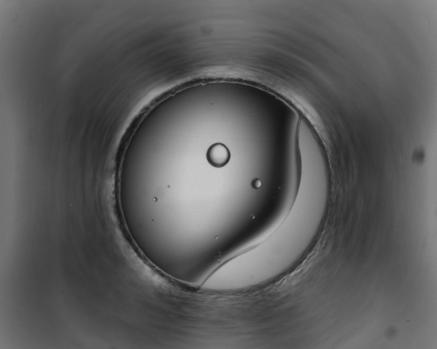 X0000101400992200807141152