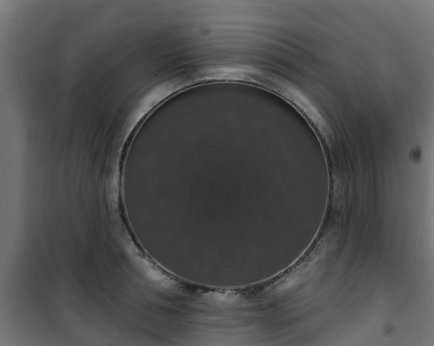 X0000101400994200807141152