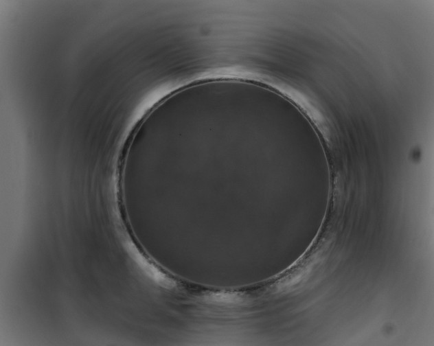 X0000101400998200807141152