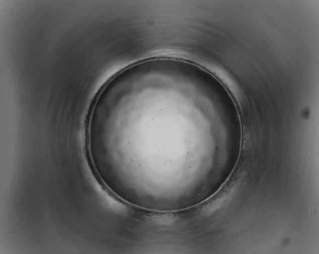 X0000101400999200807141152