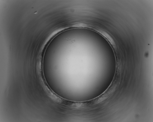 X0000101401000200807141152