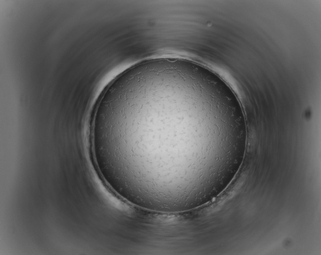 X0000101401003200807141152