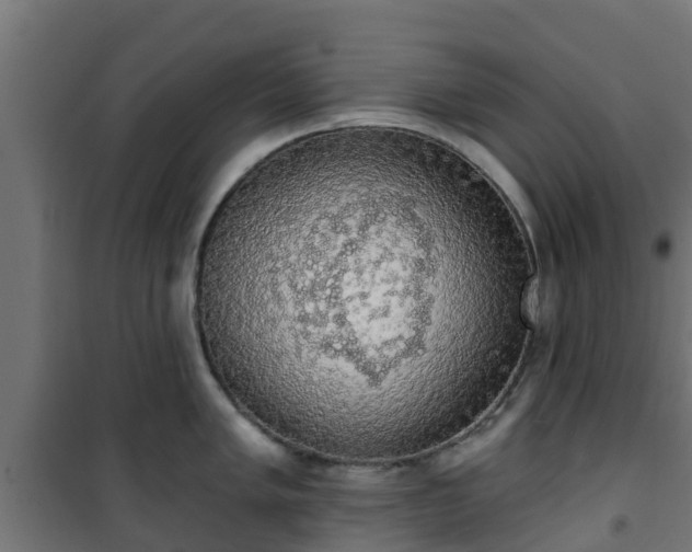 X0000101401005200807141152