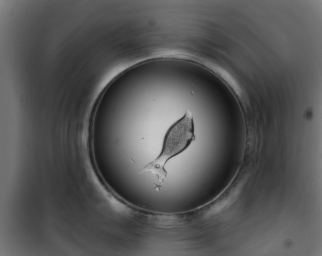 X0000101401007200807141152