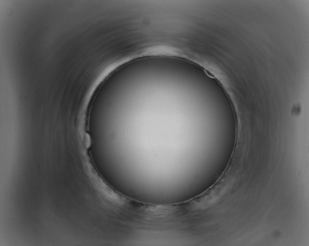 X0000101401008200807141152