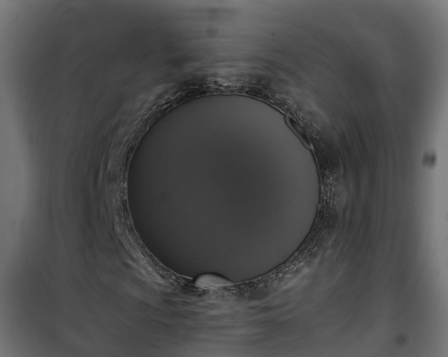 X0000101401009200807141151