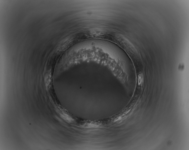 X0000101401011200807141151