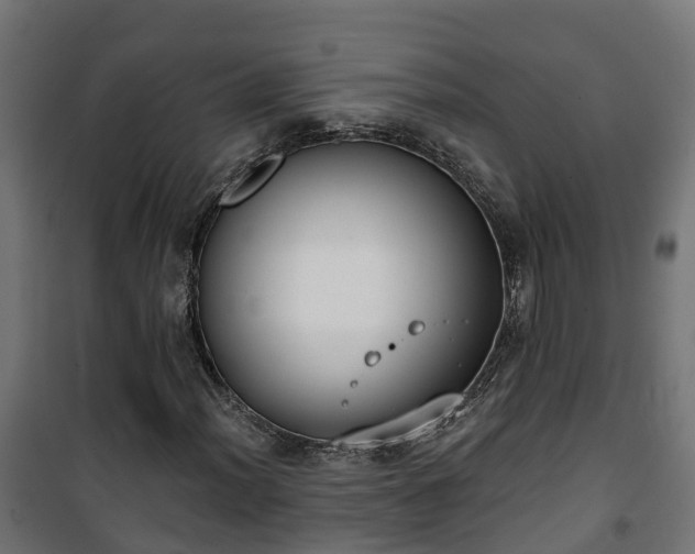 X0000101401012200807141151