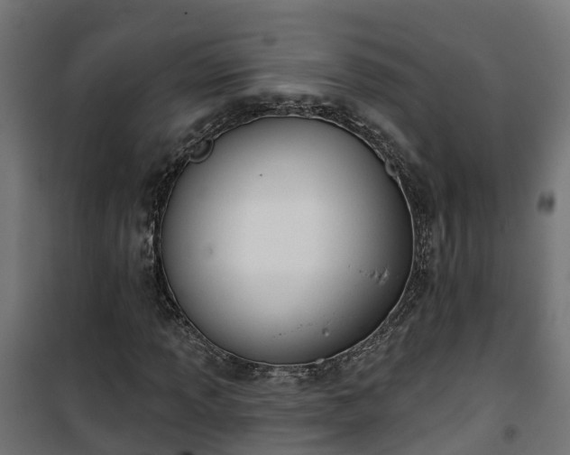 X0000101401013200807141151