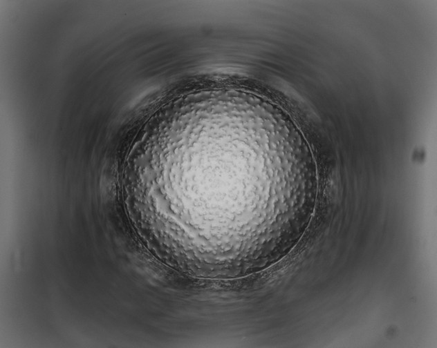 X0000101401014200807141151