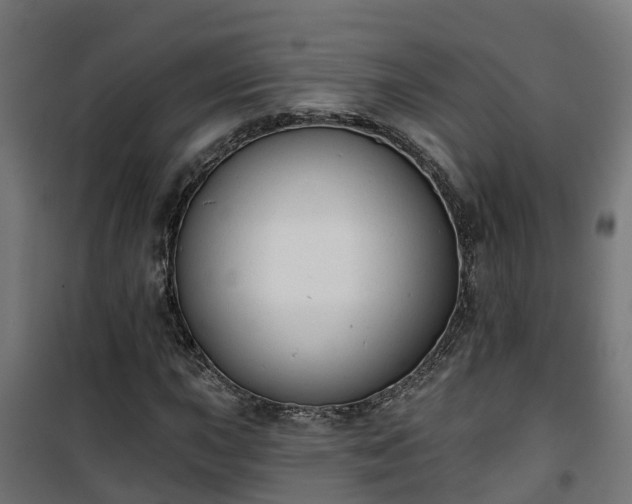 X0000101401015200807141151