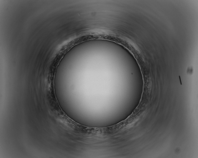 X0000101401016200807141151