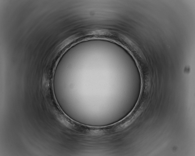 X0000101401017200807141151