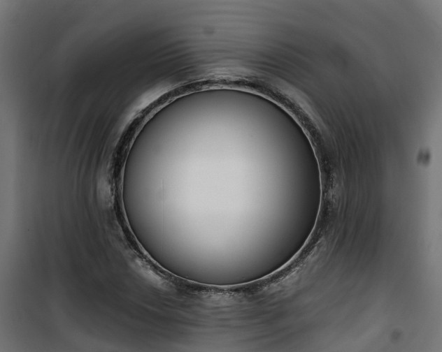 X0000101401018200807141151