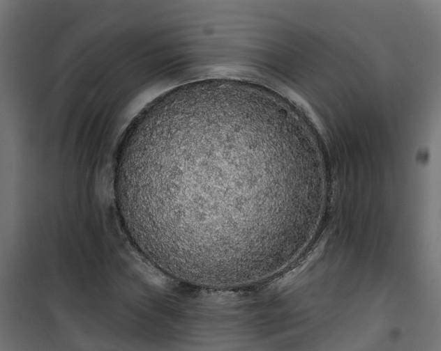 X0000101401019200807141151