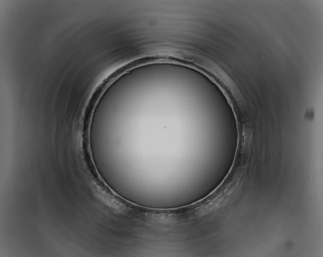 X0000101401020200807141151