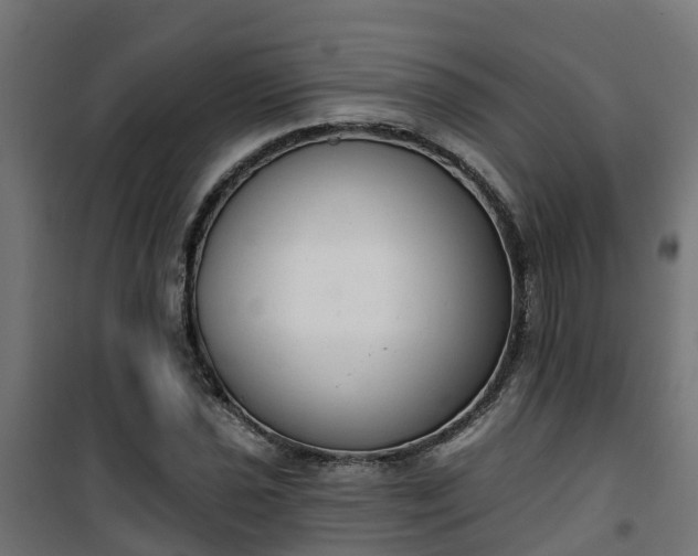 X0000101401021200807141151