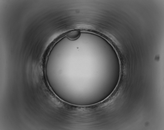 X0000101401022200807141151