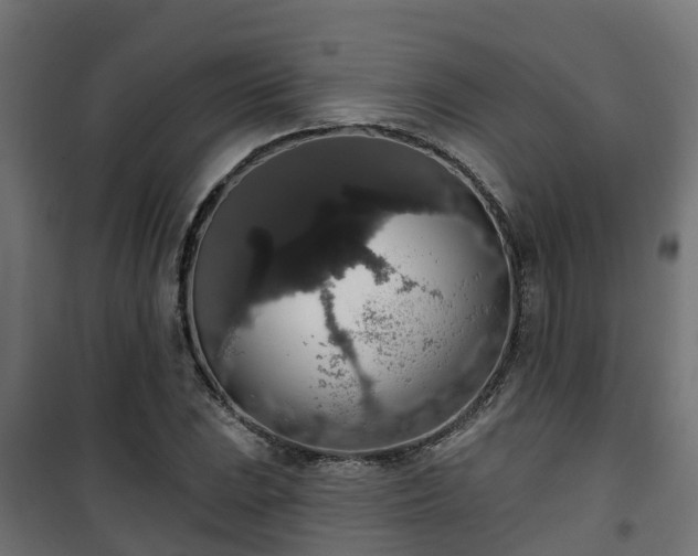 X0000101401023200807141151