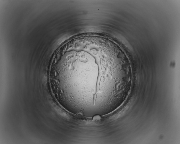 X0000101401025200807141151