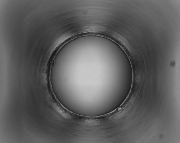 X0000101401026200807141151