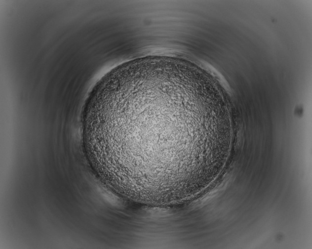 X0000101401027200807141151