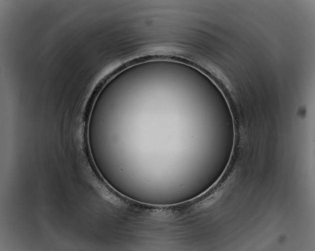 X0000101401029200807141152