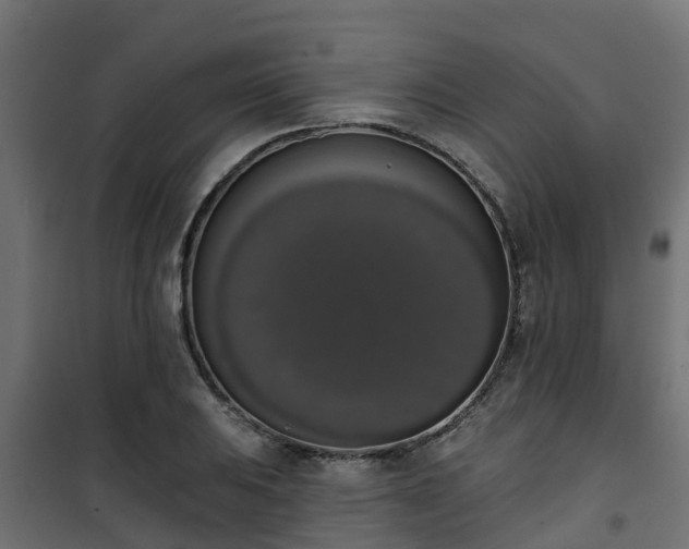 X0000101401031200807141152