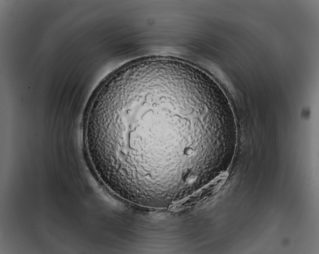 X0000101401032200807141152