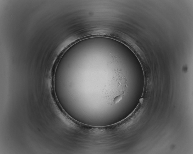 X0000101401034200807141152