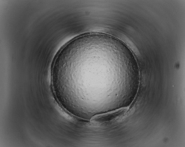 X0000101401036200807141152