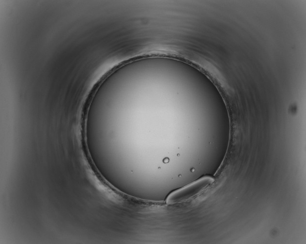 X0000101401038200807141152