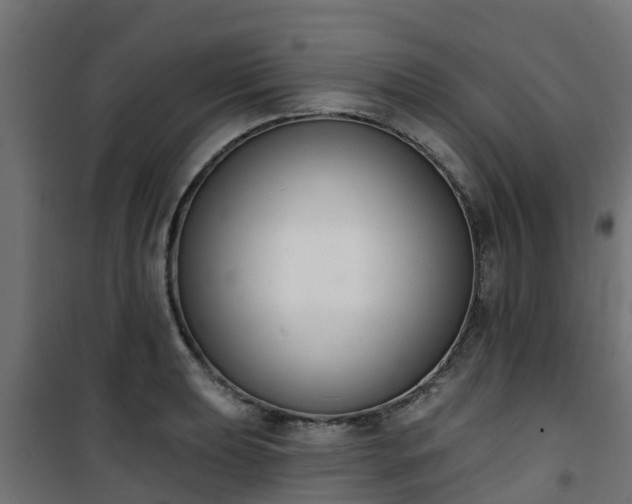 X0000101401039200807141152