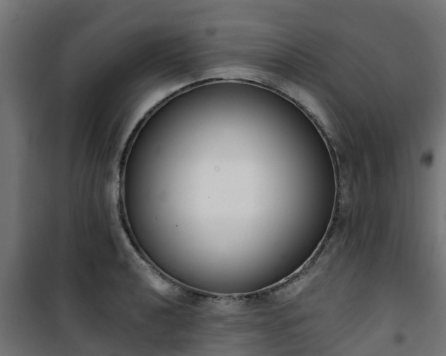 X0000101401040200807141152