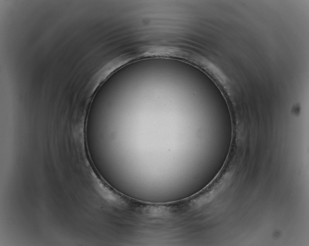 X0000101401041200807141152