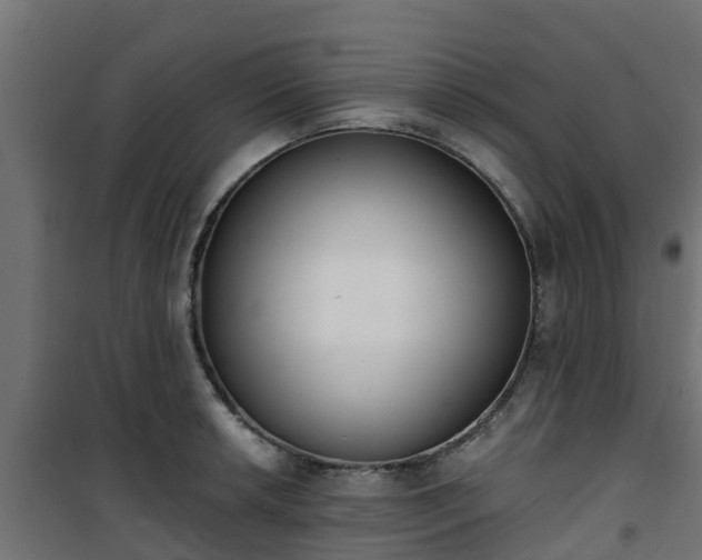 X0000101401042200807141152