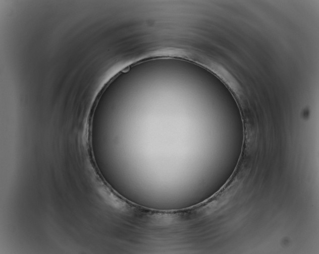 X0000101401044200807141152