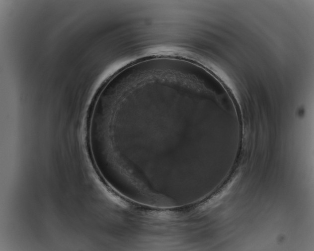 X0000101401045200807141152