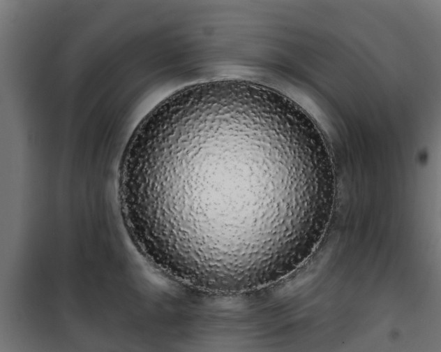 X0000101401047200807141152