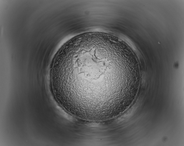 X0000101401048200807141152