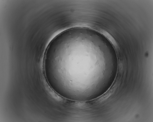 X0000101401052200807141152