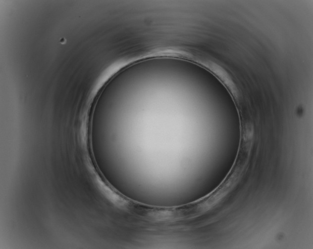 X0000101401054200807141152