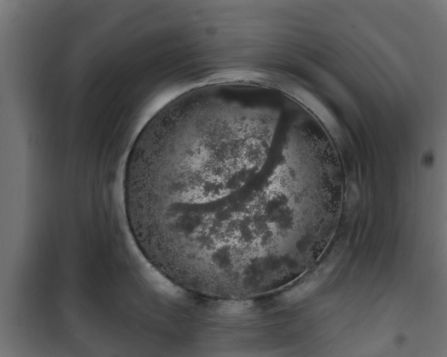 X0000101401055200807141152