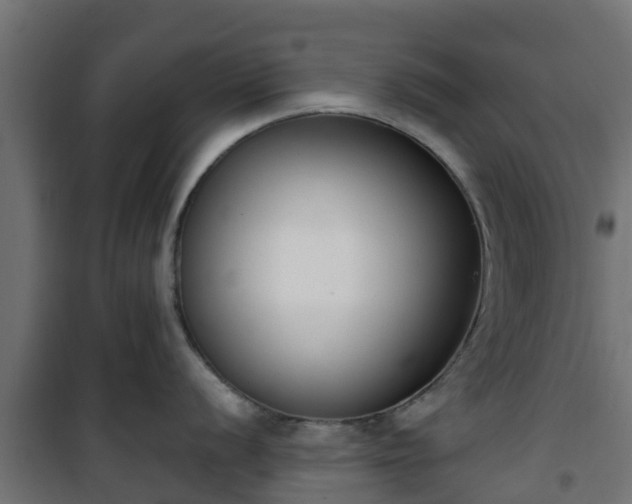 X0000101401056200807141152