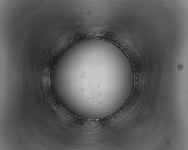 X0000101401058200807141151