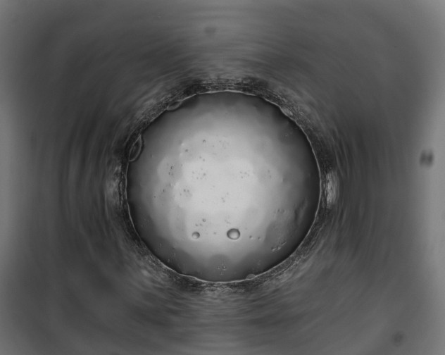 X0000101401059200807141151