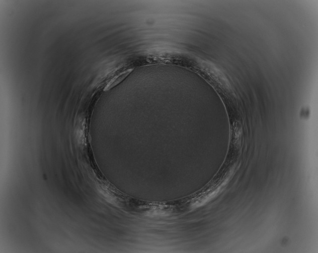 X0000101401060200807141151